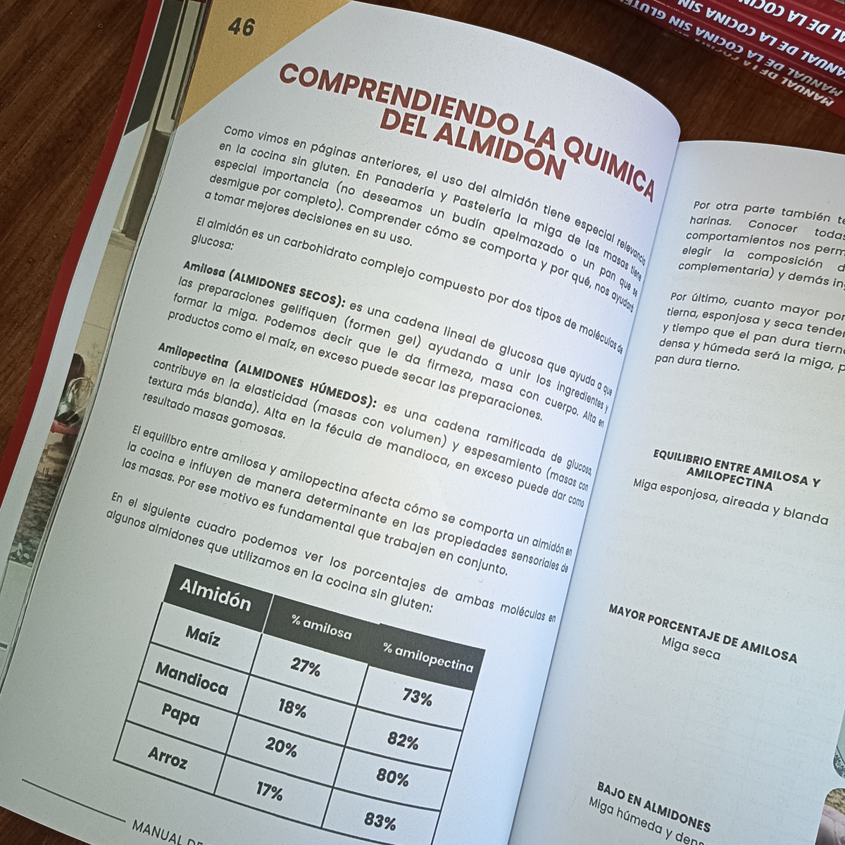Libro Físico Manual Panificados Sin Gluten Sin Lactosa Sin Azúcar Añadida