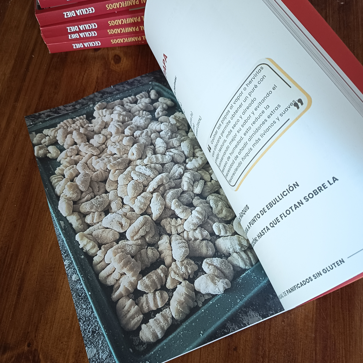 Libro Físico Manual Panificados Sin Gluten Sin Lactosa Sin Azúcar Añadida