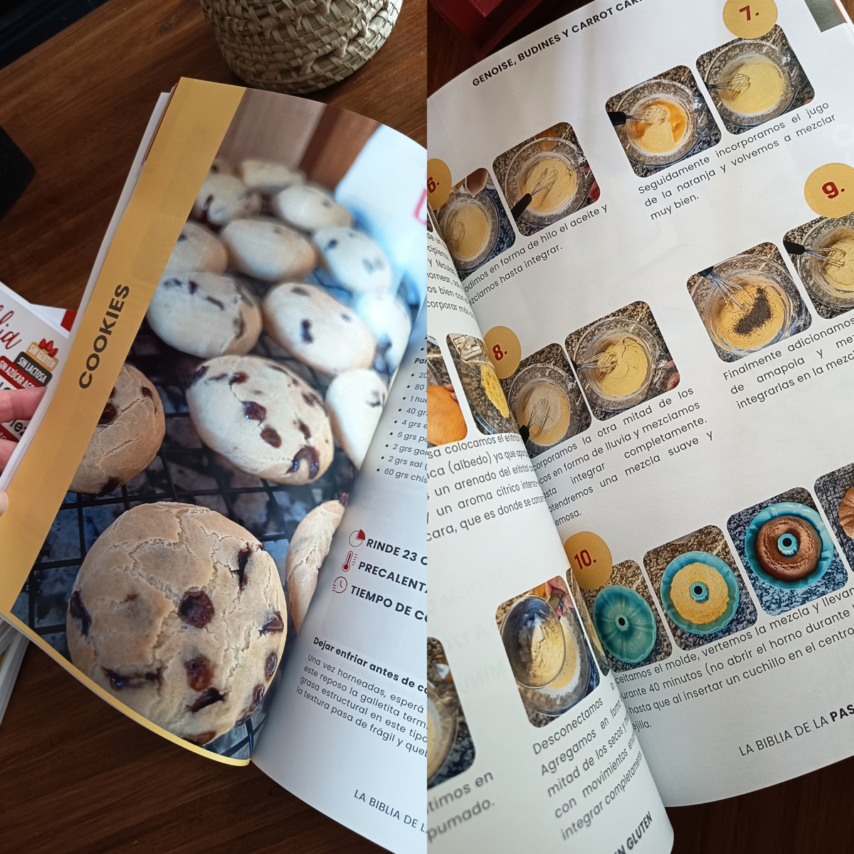 Libro Físico La Biblia de la Pastelería Sin Gluten Sin Lactosa Sin Azúcar Añadida